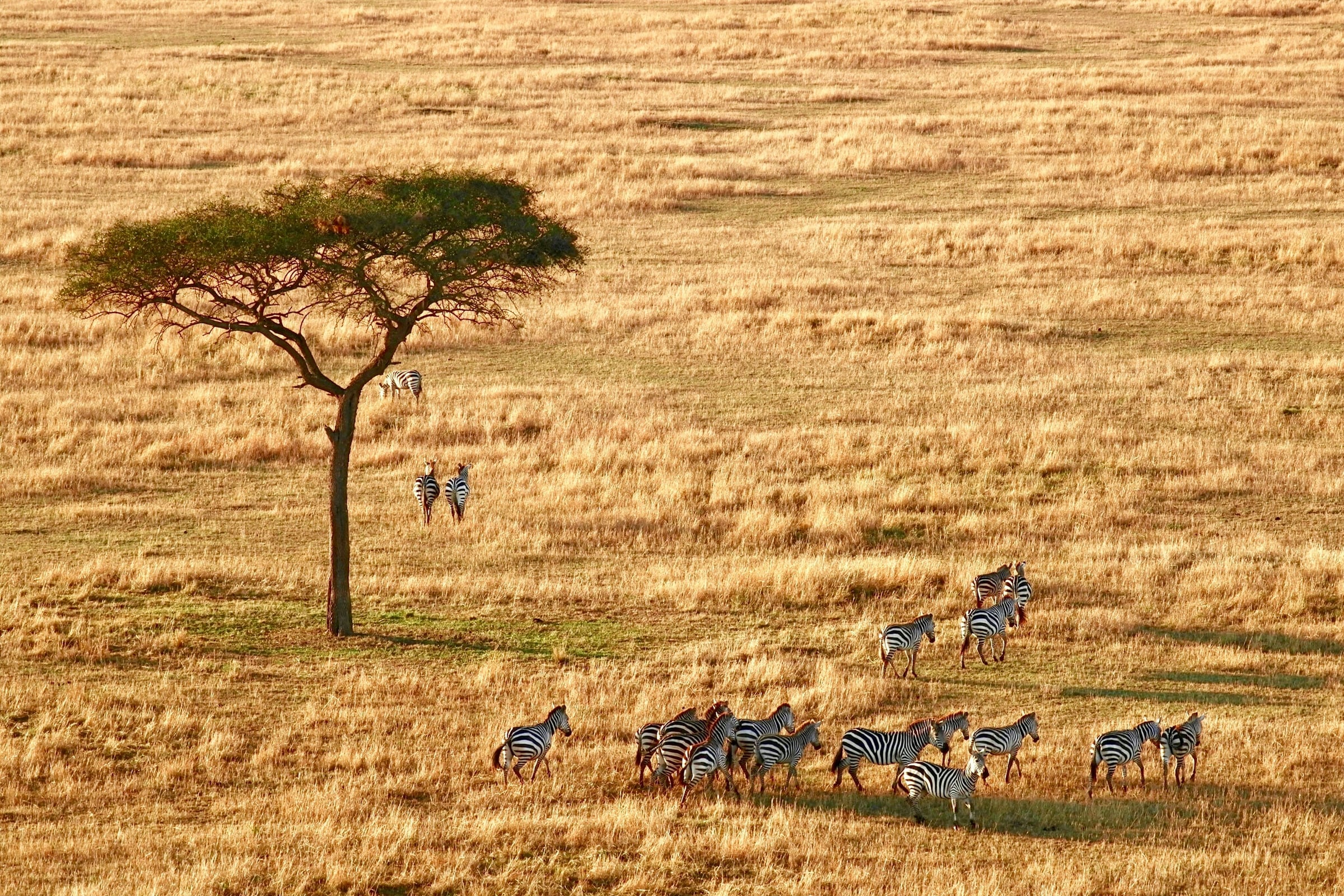 Tanzanija